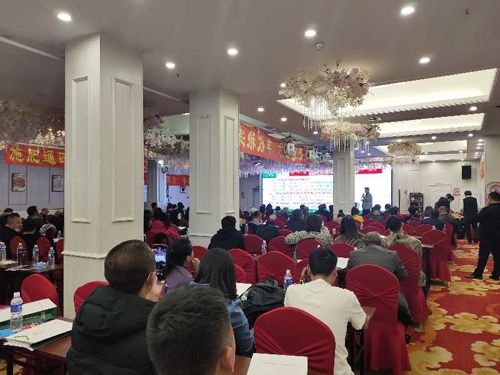 ������ӆ؛����Ƭ