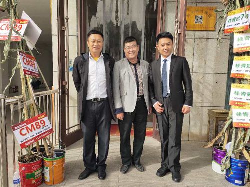 ������ӆ؛����Ƭ