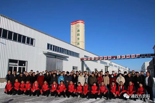 ͨ�ķ����˺�Ӱ����